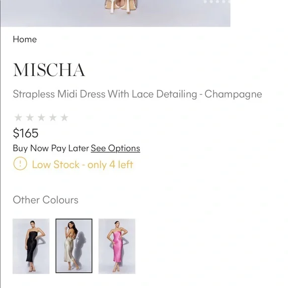 Meshki strapless slip dress (xs) - Picture 2 of 11